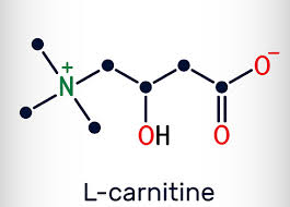 L-carnitina